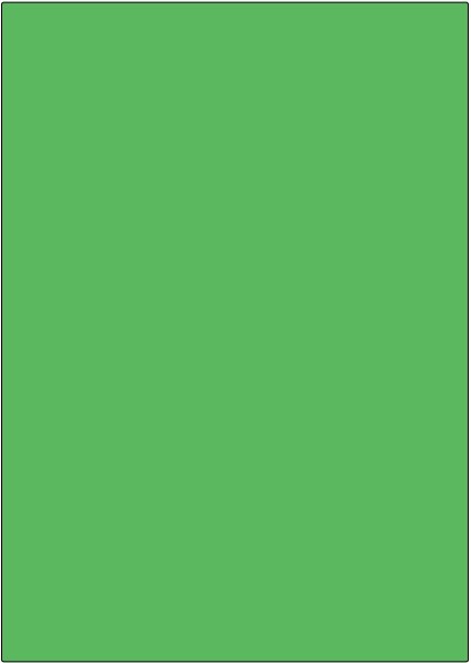 Color-Etiketten DIN A4, 210x297mm grün, 1 Etik./Blatt , 100 Blatt/VE= 100 Etik.